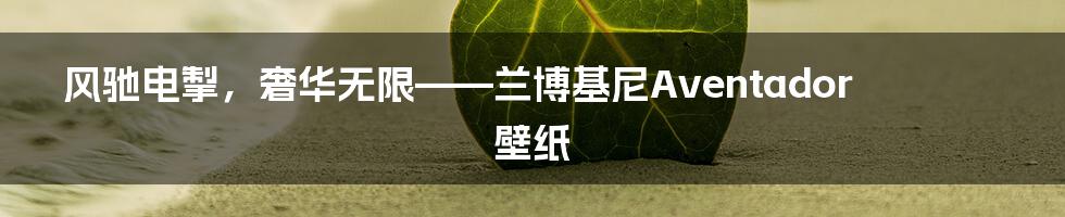 风驰电掣，奢华无限——兰博基尼Aventador壁纸