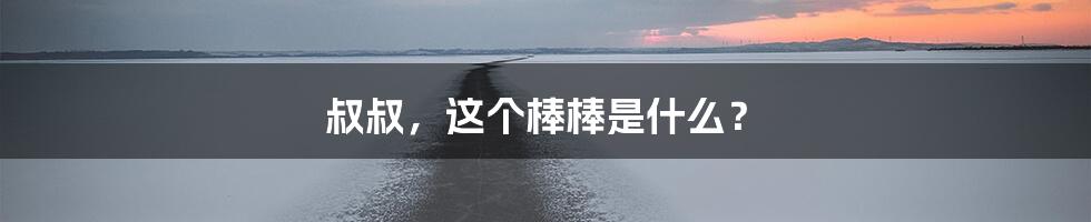 叔叔，这个棒棒是什么？