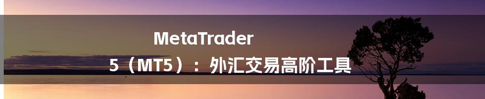 MetaTrader 5（MT5）：外汇交易高阶工具