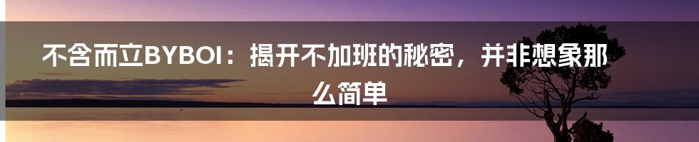 不含而立BYBOI：揭开不加班的秘密，并非想象那么简单