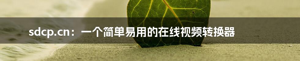 sdcp.cn：一个简单易用的在线视频转换器