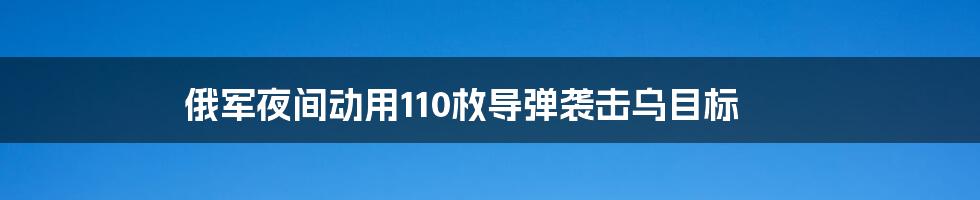 俄军夜间动用110枚导弹袭击乌目标