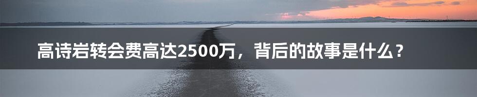 高诗岩转会费高达2500万，背后的故事是什么？