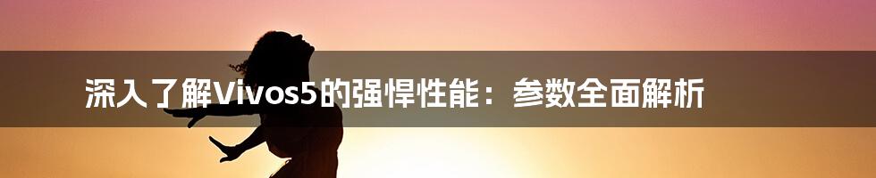 深入了解Vivos5的强悍性能：参数全面解析