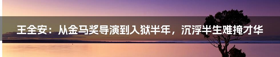 王全安：从金马奖导演到入狱半年，沉浮半生难掩才华