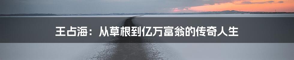 王占海：从草根到亿万富翁的传奇人生