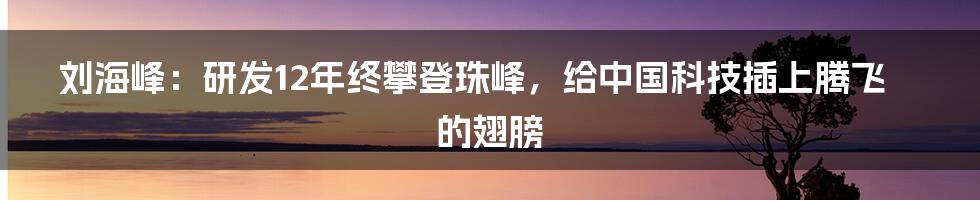 刘海峰：研发12年终攀登珠峰，给中国科技插上腾飞的翅膀