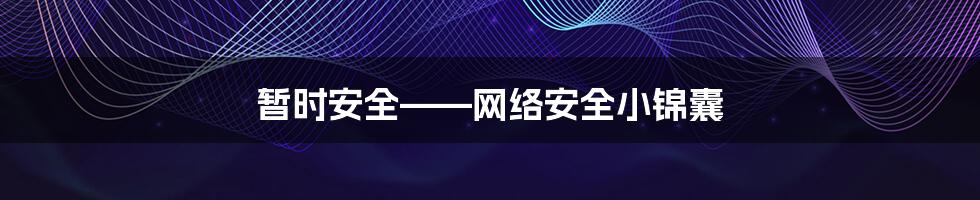 暂时安全——网络安全小锦囊