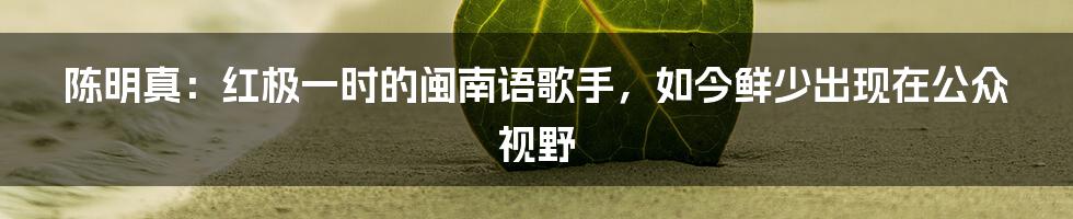 陈明真：红极一时的闽南语歌手，如今鲜少出现在公众视野