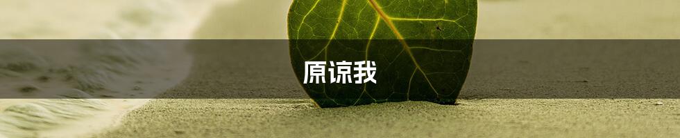 原谅我