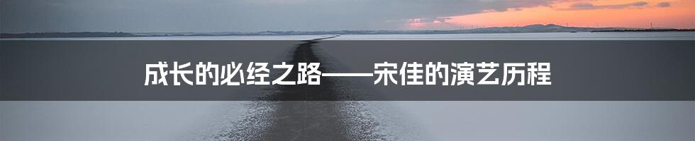 成长的必经之路——宋佳的演艺历程