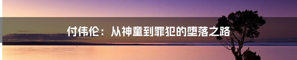 付伟伦：从神童到罪犯的堕落之路