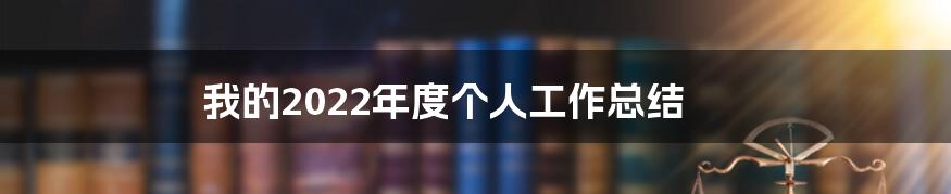 我的2022年度个人工作总结