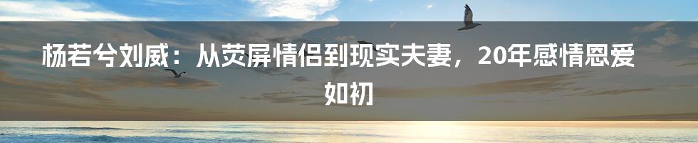 杨若兮刘威：从荧屏情侣到现实夫妻，20年感情恩爱如初