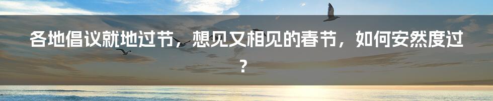 各地倡议就地过节，想见又相见的春节，如何安然度过？