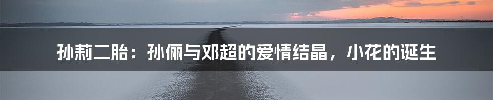 孙莉二胎：孙俪与邓超的爱情结晶，小花的诞生