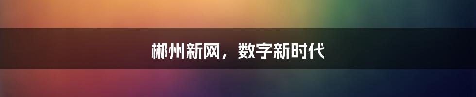 郴州新网，数字新时代