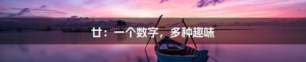 廿：一个数字，多种趣味