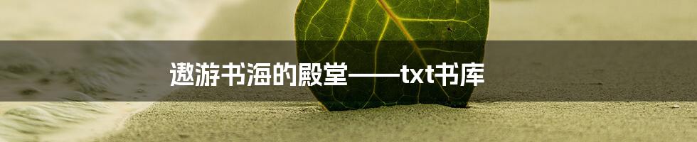 遨游书海的殿堂——txt书库