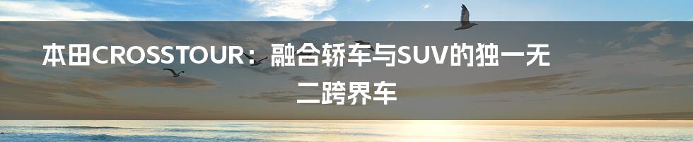 本田CROSSTOUR：融合轿车与SUV的独一无二跨界车