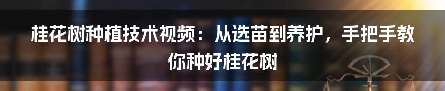 桂花树种植技术视频：从选苗到养护，手把手教你种好桂花树