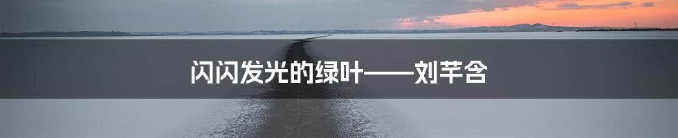 闪闪发光的绿叶——刘芊含