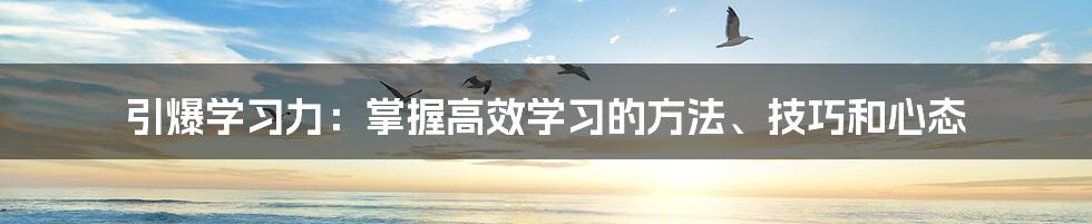 引爆学习力：掌握高效学习的方法、技巧和心态