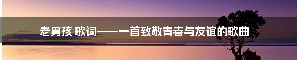 老男孩 歌词——一首致敬青春与友谊的歌曲