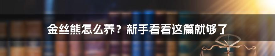 金丝熊怎么养？新手看看这篇就够了