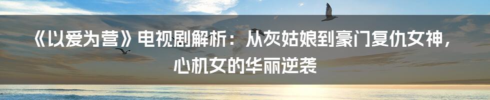 《以爱为营》电视剧解析：从灰姑娘到豪门复仇女神，心机女的华丽逆袭