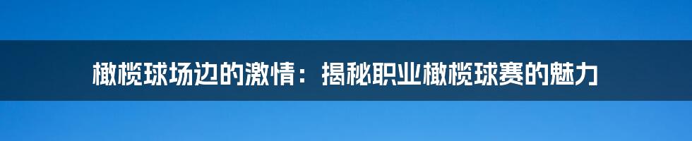 橄榄球场边的激情：揭秘职业橄榄球赛的魅力