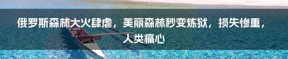 俄罗斯森林大火肆虐，美丽森林秒变炼狱，损失惨重，人类痛心