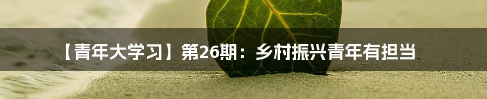 【青年大学习】第26期：乡村振兴青年有担当