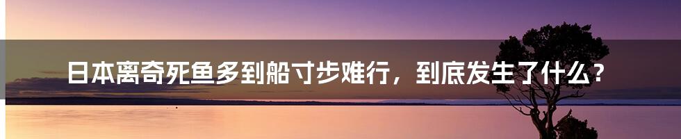 日本离奇死鱼多到船寸步难行，到底发生了什么？