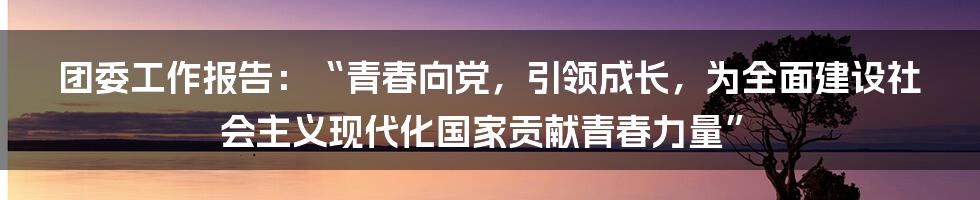 团委工作报告：“青春向党，引领成长，为全面建设社会主义现代化国家贡献青春力量”