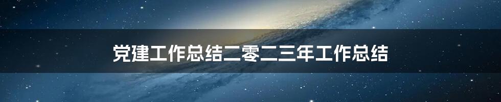 党建工作总结二零二三年工作总结