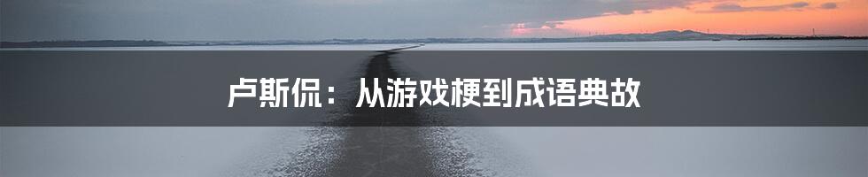 卢斯侃：从游戏梗到成语典故