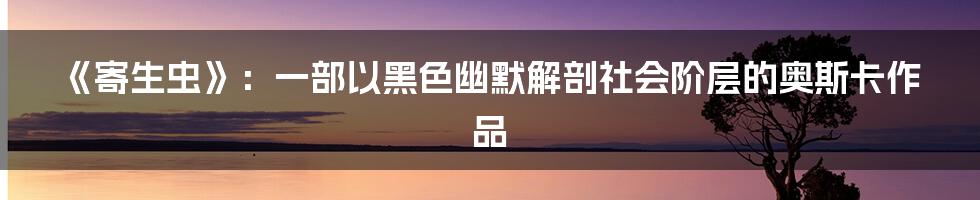 《寄生虫》：一部以黑色幽默解剖社会阶层的奥斯卡作品