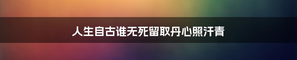 人生自古谁无死留取丹心照汗青