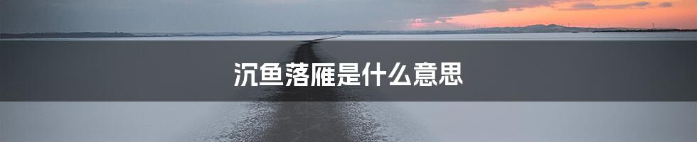 沉鱼落雁是什么意思