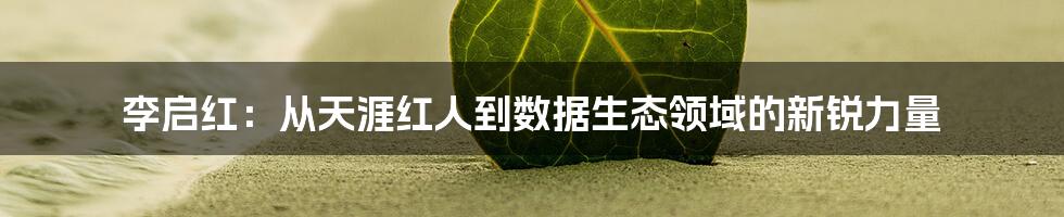 李启红：从天涯红人到数据生态领域的新锐力量