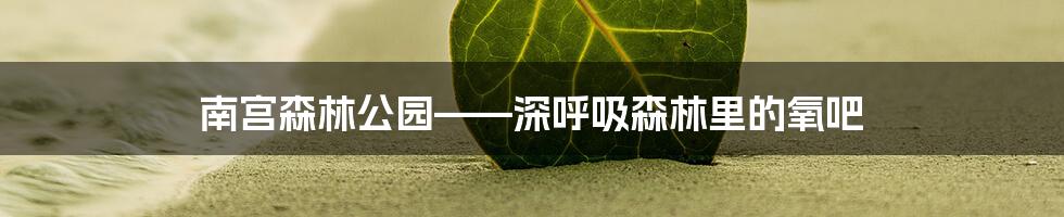 南宫森林公园——深呼吸森林里的氧吧