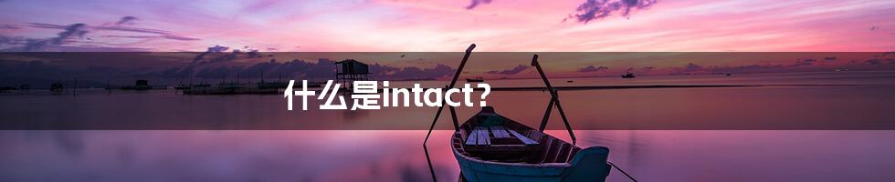 什么是intact？