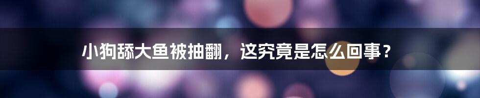 小狗舔大鱼被抽翻，这究竟是怎么回事？