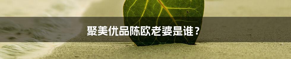 聚美优品陈欧老婆是谁？