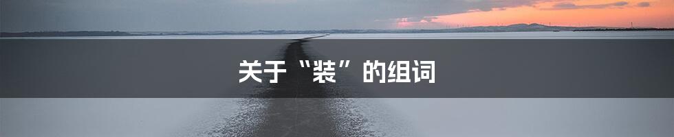 关于“装”的组词