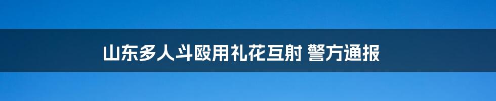 山东多人斗殴用礼花互射 警方通报