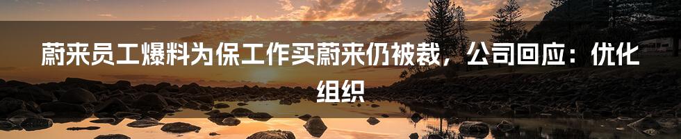 蔚来员工爆料为保工作买蔚来仍被裁，公司回应：优化组织