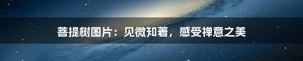 菩提树图片：见微知著，感受禅意之美