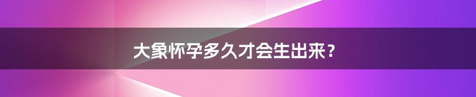 大象怀孕多久才会生出来？